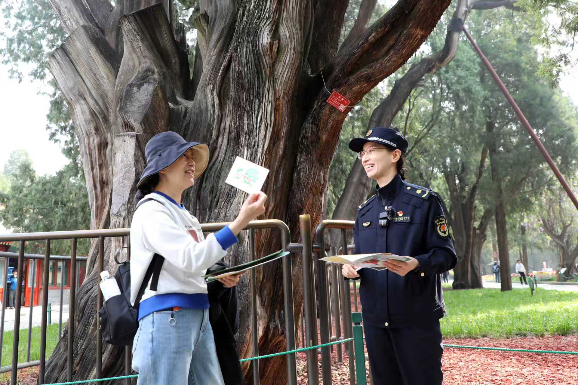 守护“活的文物”！天安门地区多部门联合开展古树名木保护宣传